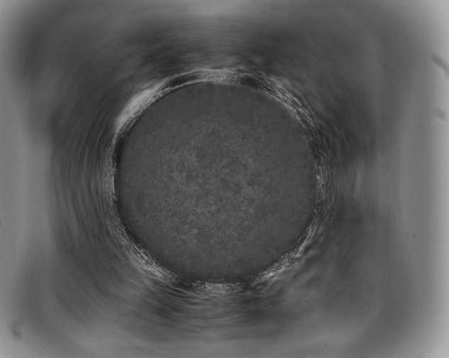 X0000096670149200802051231