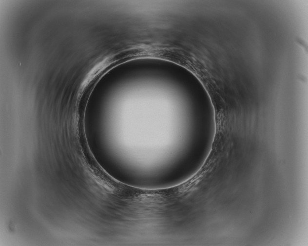 X0000096670150200802051231