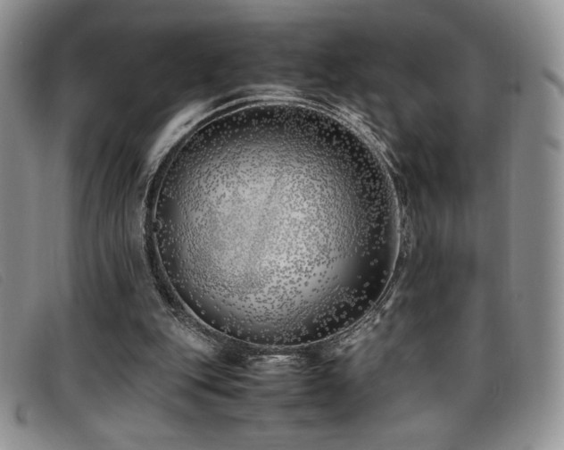 X0000096670151200802051231