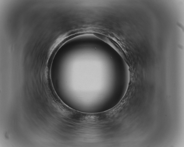 X0000096670152200802051231