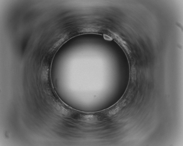 X0000096670153200802051231
