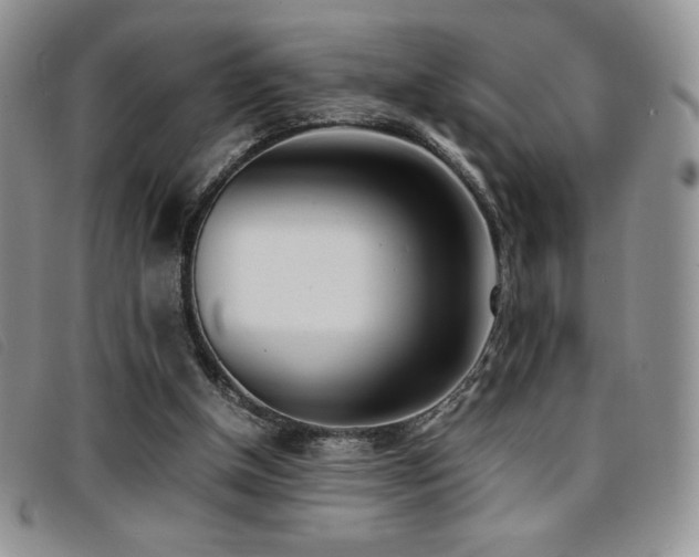X0000096670154200802051231