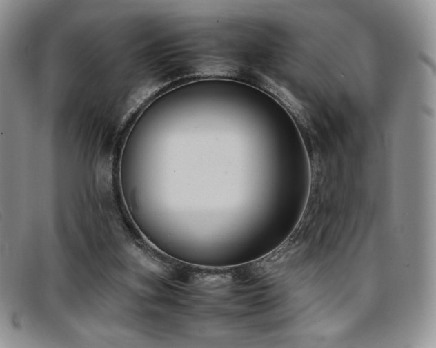 X0000096670155200802051231