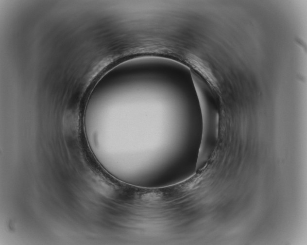 X0000096670156200802051231
