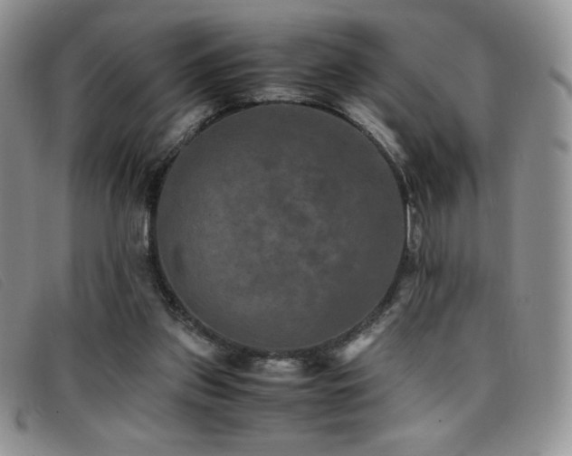 X0000096670157200802051231