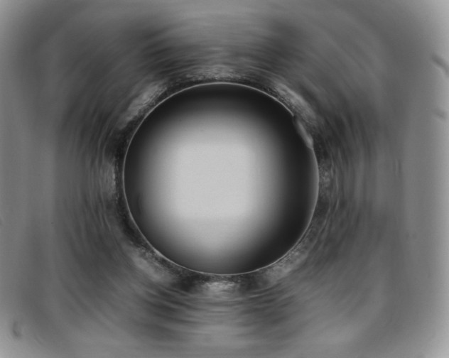X0000096670158200802051231
