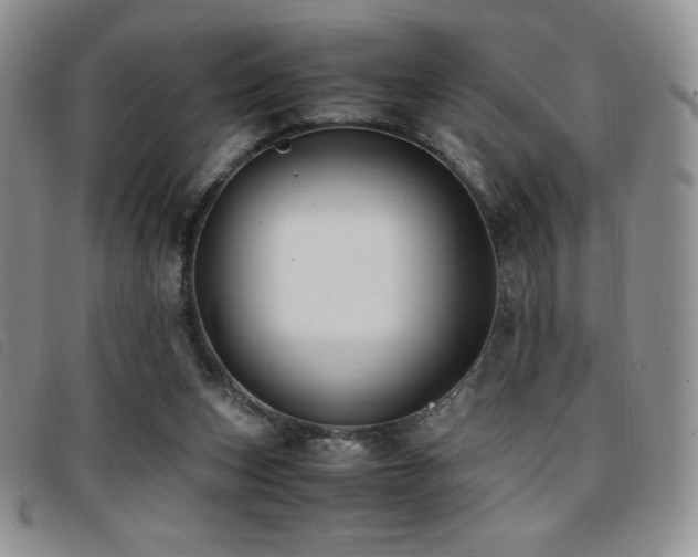 X0000096670159200802051231