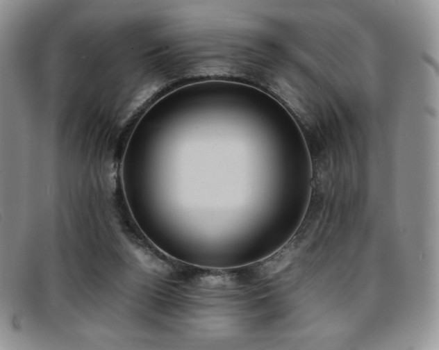 X0000096670160200802051231