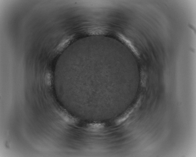 X0000096670161200802051231