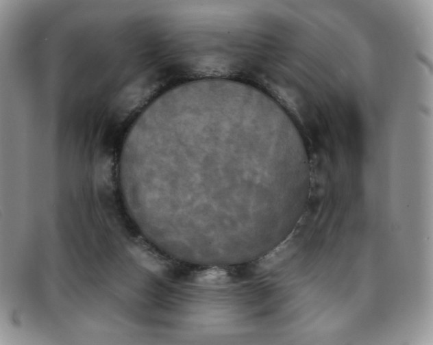 X0000096670162200802051231