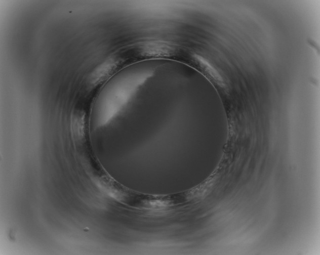 X0000096670163200802051231
