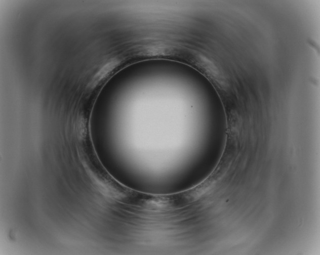 X0000096670164200802051231