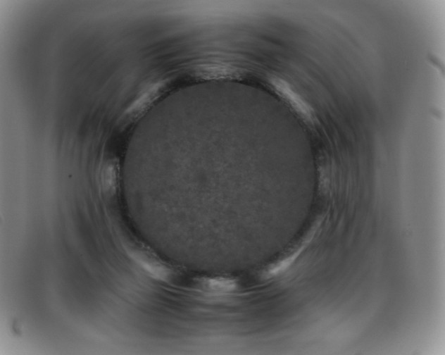 X0000096670165200802051231