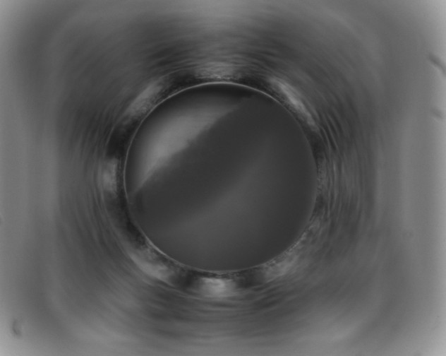 X0000096670167200802051231