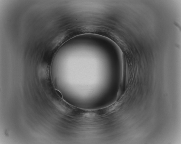 X0000096670168200802051231