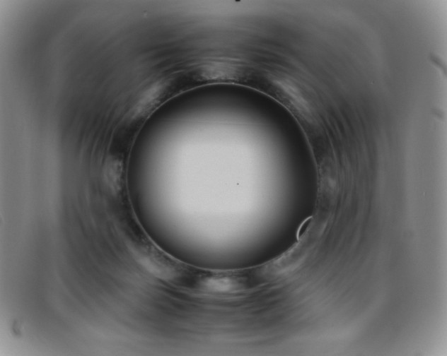 X0000096670171200802051231