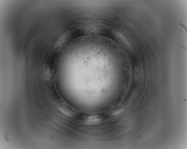X0000096670173200802051231