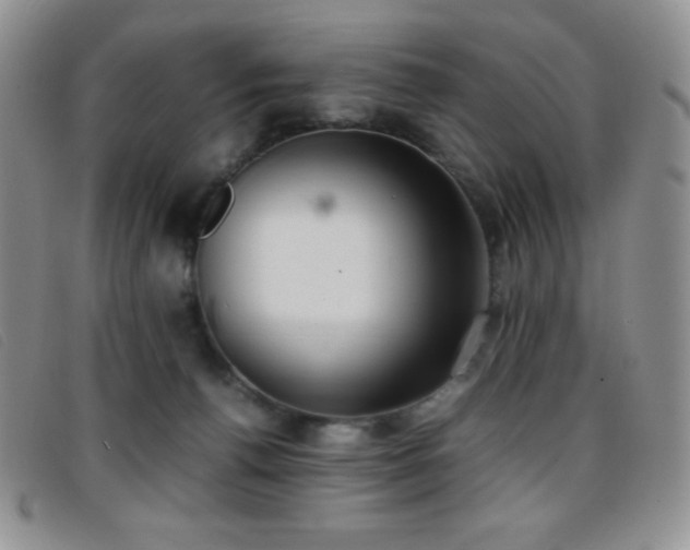 X0000096670176200802051231