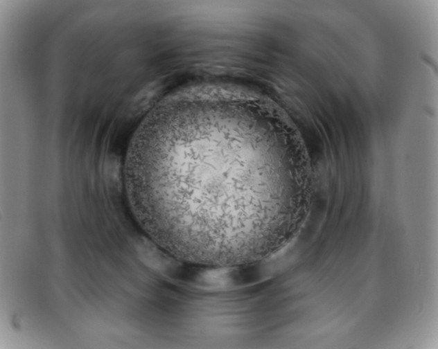 X0000096670178200802051231