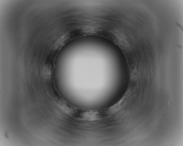 X0000096670179200802051231