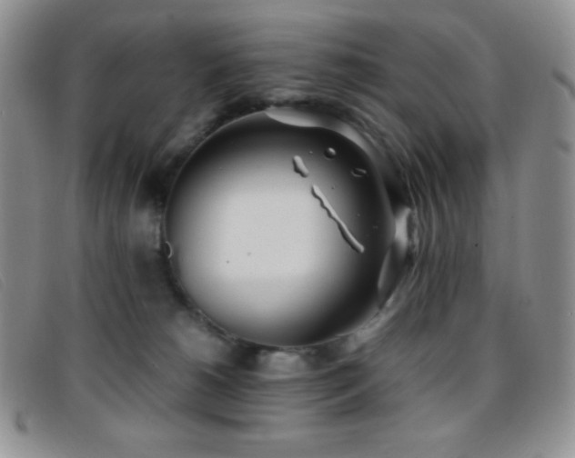 X0000096670180200802051231