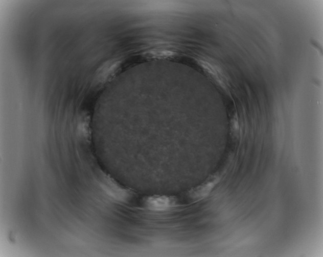X0000096670181200802051231
