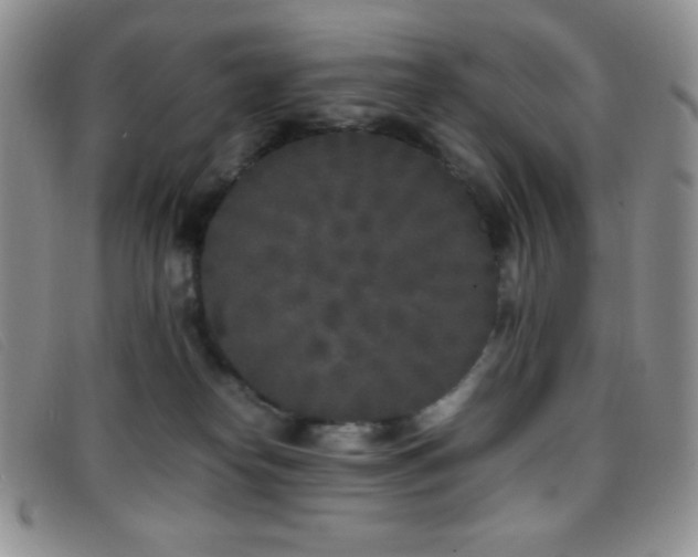 X0000096670182200802051231