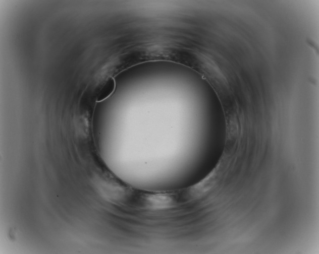 X0000096670183200802051231