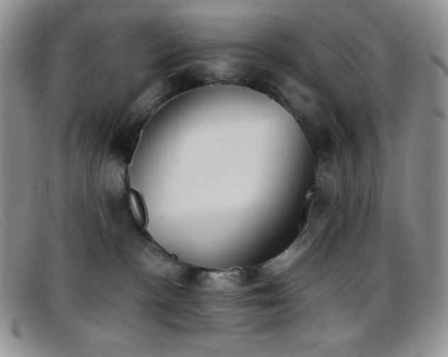 X0000096670188200802051231