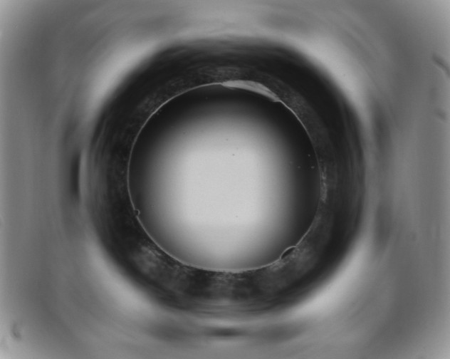 X0000096670190200802051231