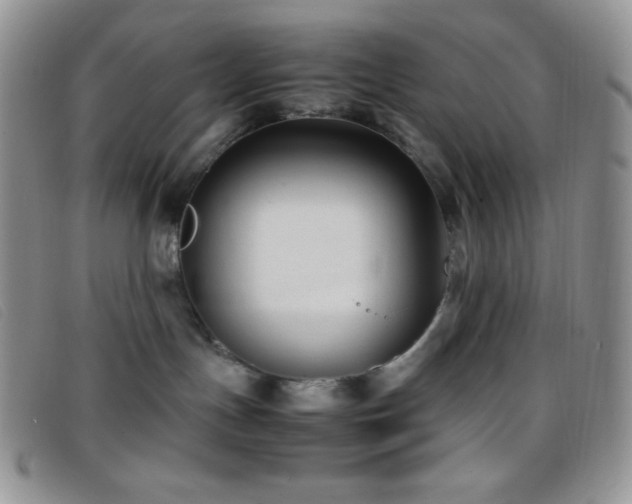 X0000096670191200802051231
