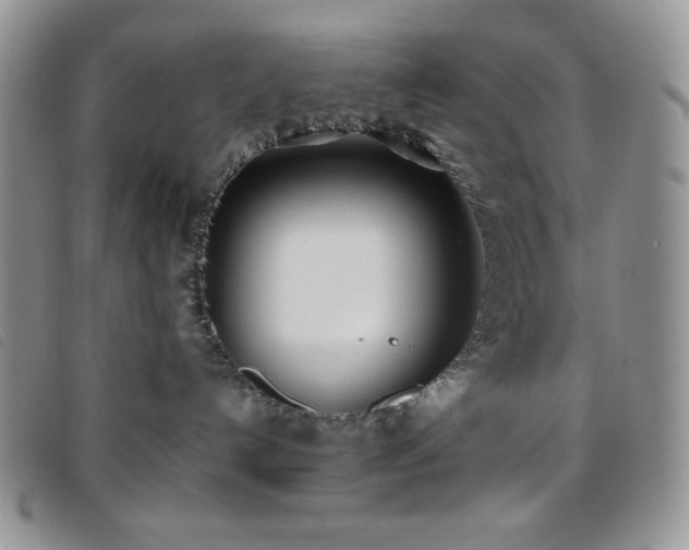 X0000096670192200802051231