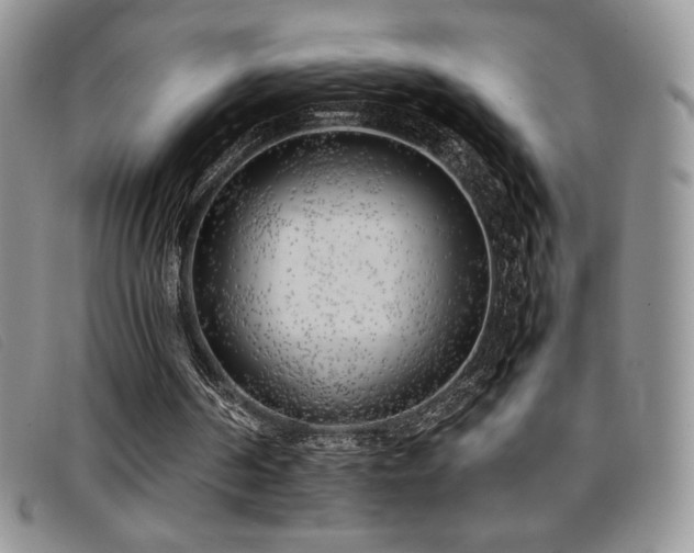X0000096670194200802051231