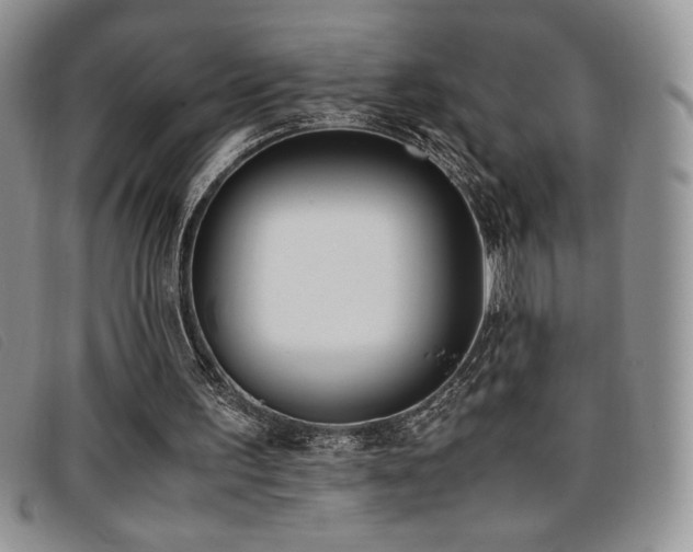 X0000096670195200802051231