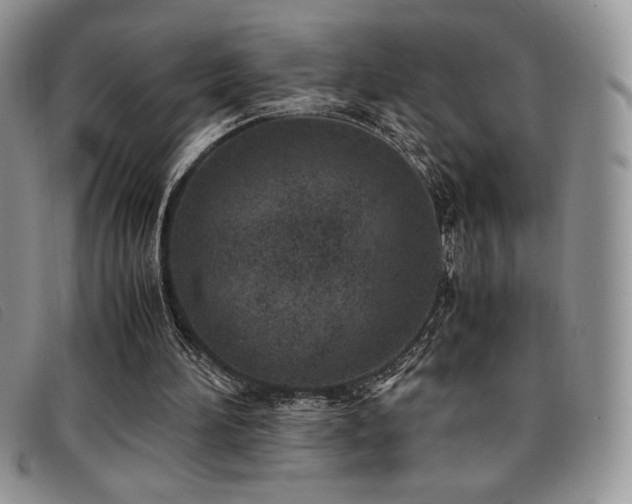 X0000096670196200802051231