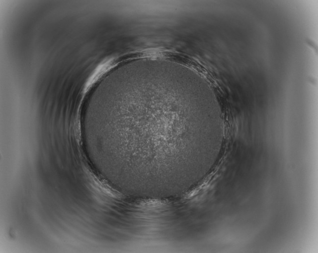 X0000096670198200802051231