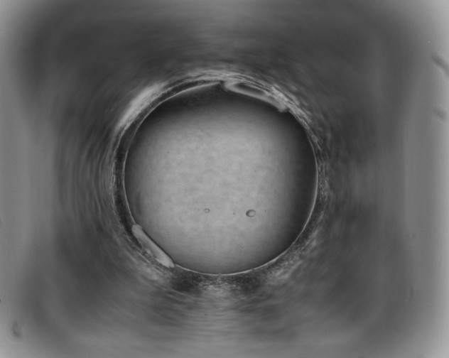 X0000096670199200802051230