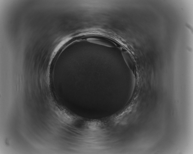 X0000096670200200802051230