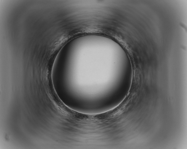 X0000096670201200802051230