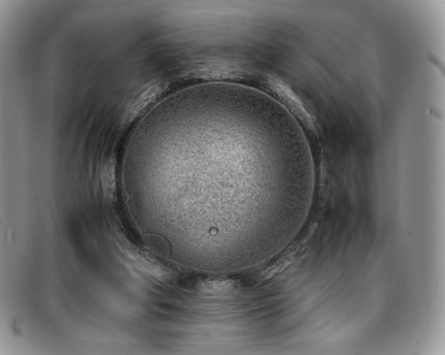 X0000096670202200802051230