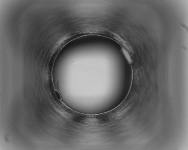 X0000096670203200802051230