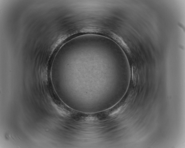 X0000096670204200802051230