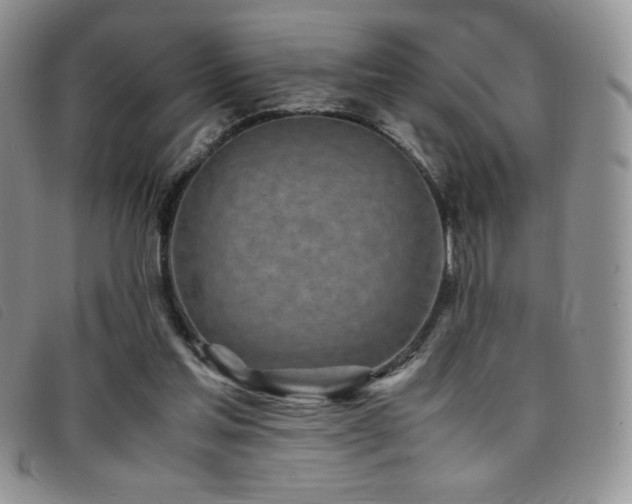 X0000096670205200802051230