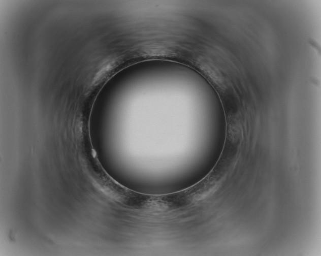 X0000096670207200802051230
