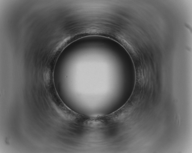 X0000096670208200802051230
