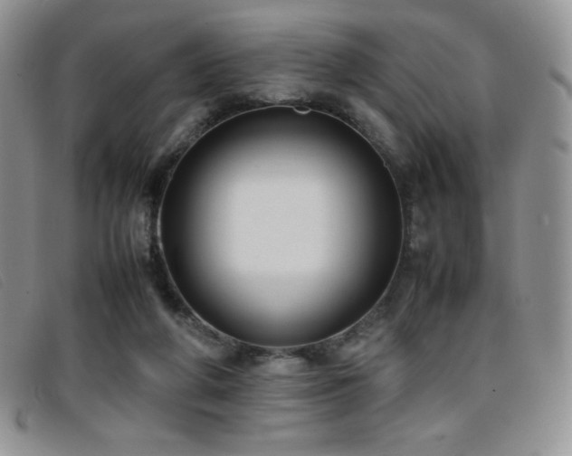 X0000096670210200802051230