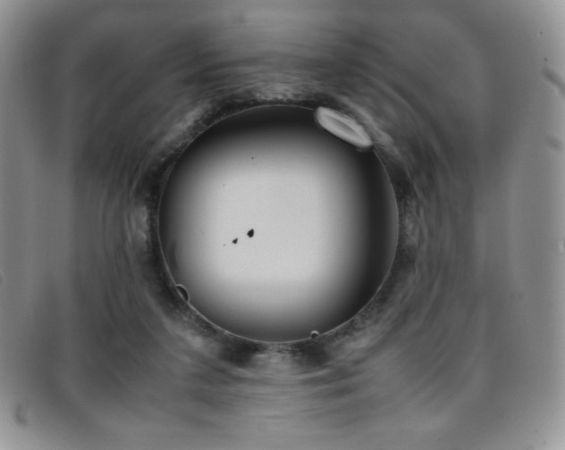 X0000096670211200802051230
