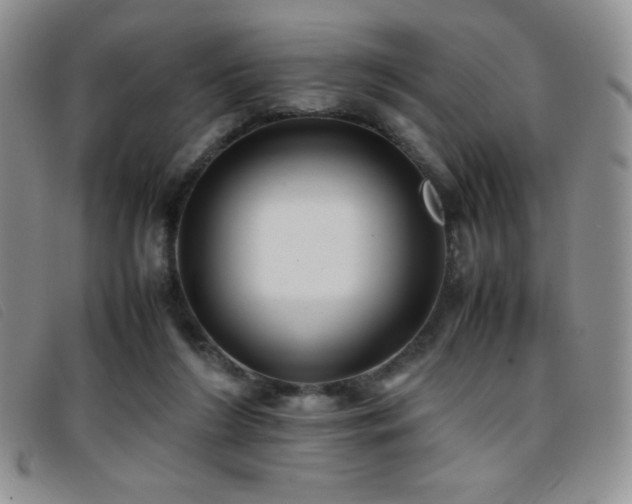 X0000096670212200802051230