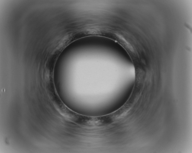 X0000096670213200802051230