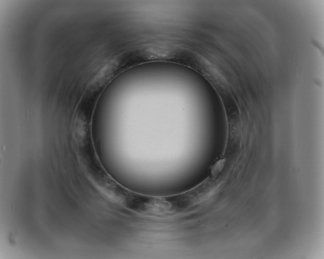 X0000096670215200802051230